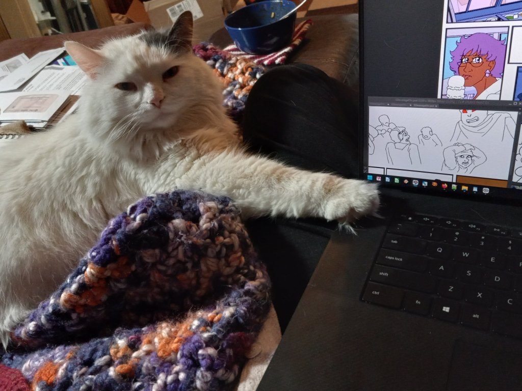 Fluffy with paw planted decisively on edge of laptop